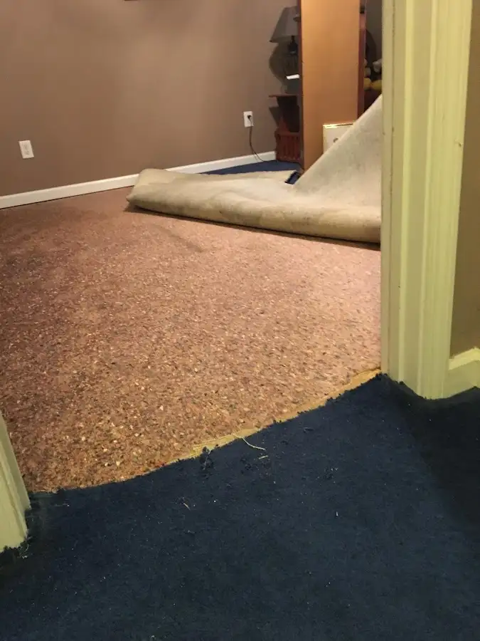 Carpet pad removal revealing water damage during Drying & Dehumidification in Haverford